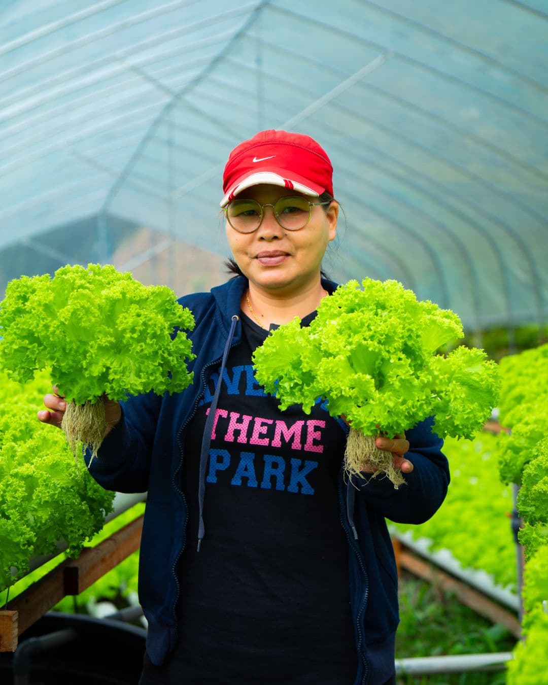 SparkGrower