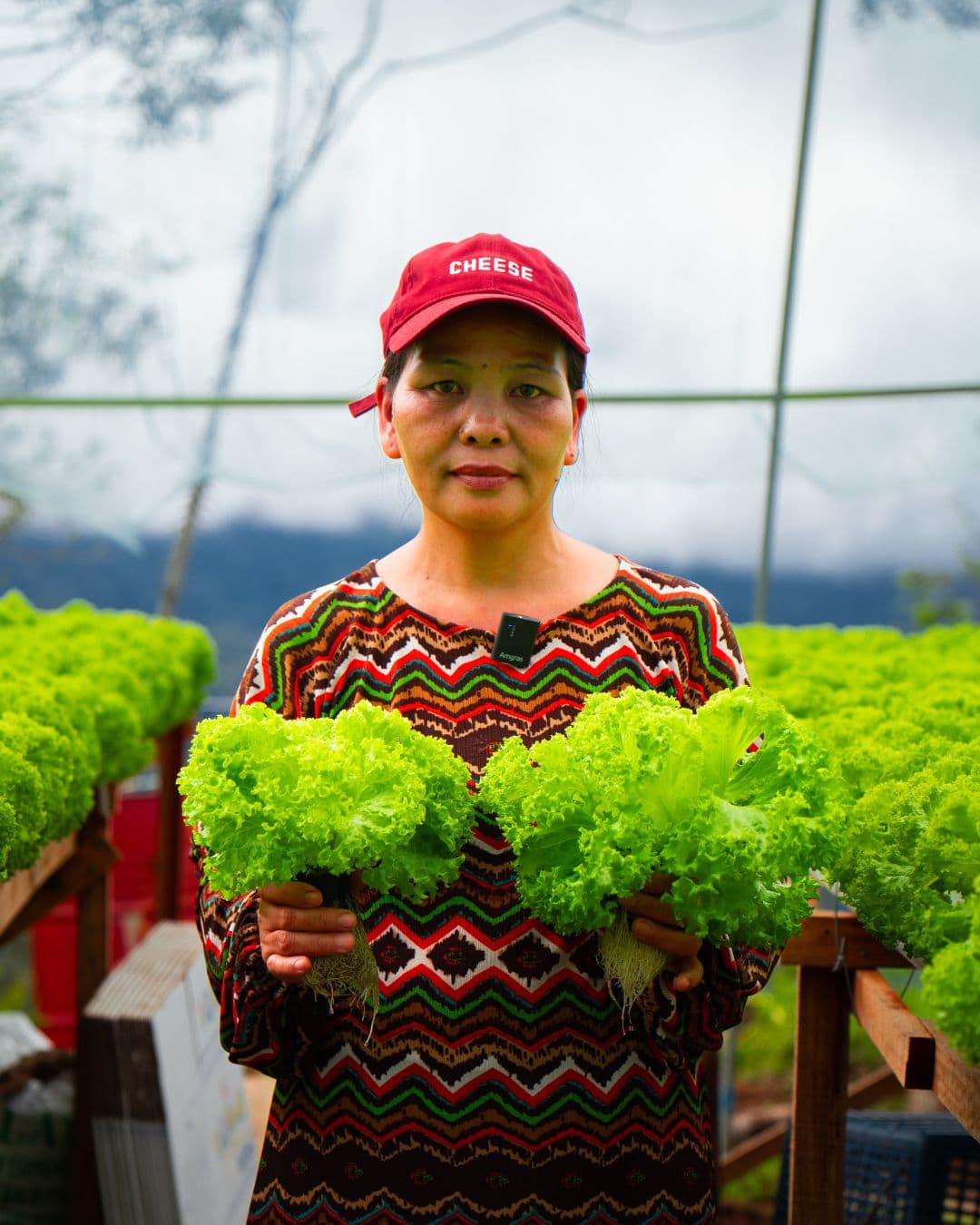 SparkGrower