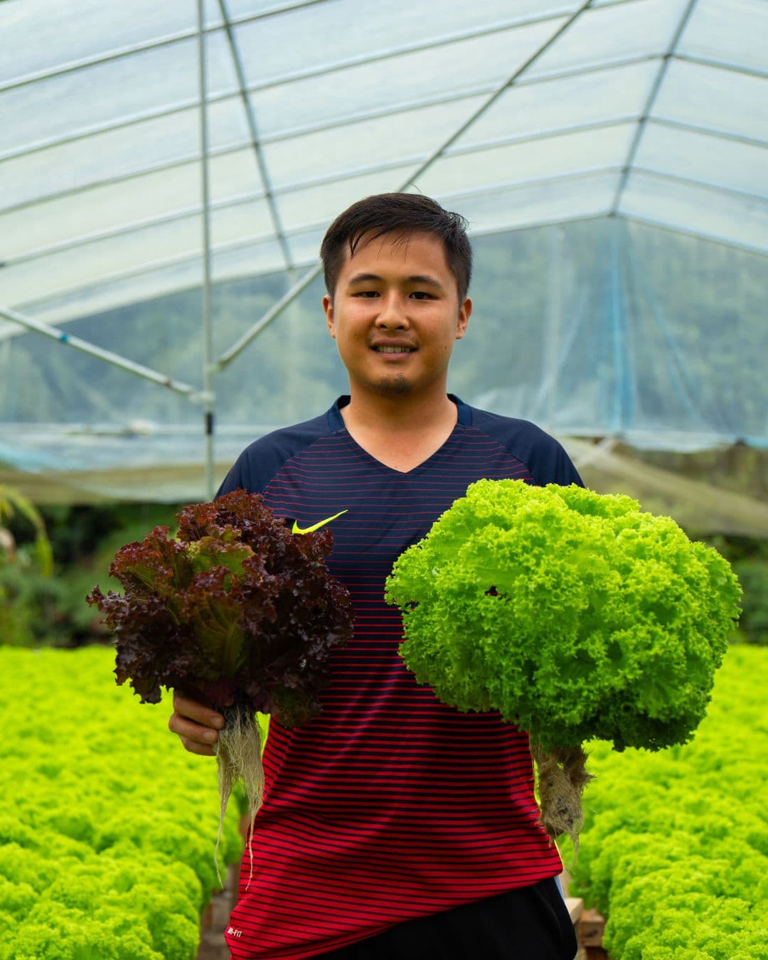 SparkGrower