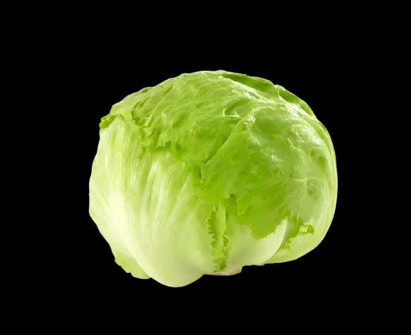 Icy Crown iceberg lettuce