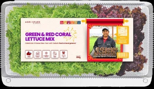 Jade & Ruby Crown Mix Green & Red Coral Lettuce