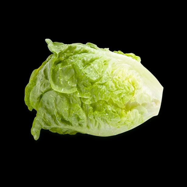 Roman Crown romaine lettuce